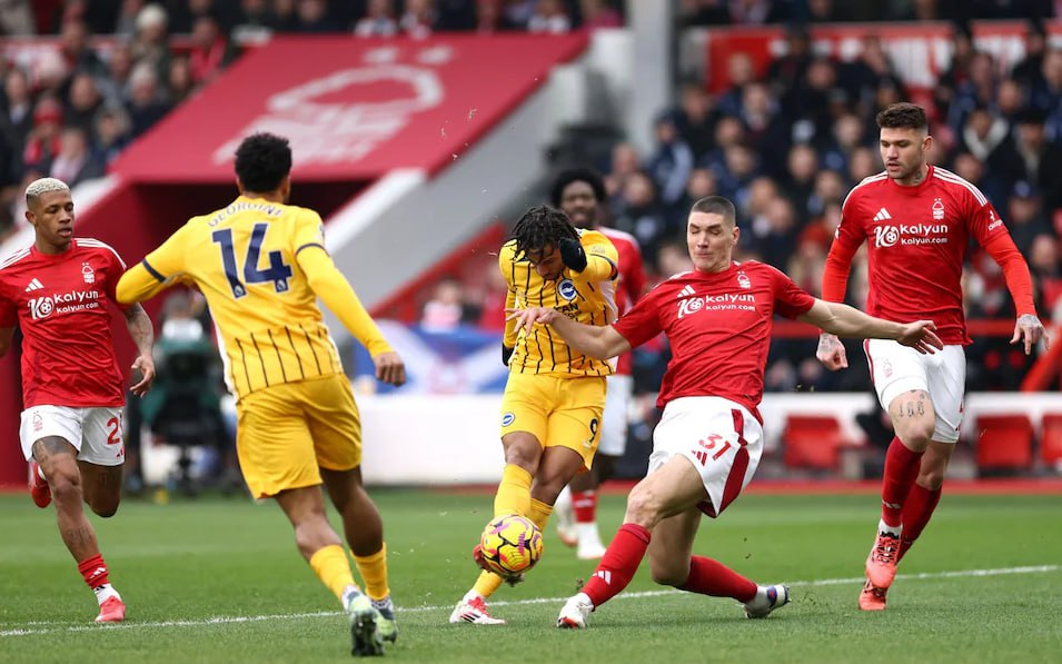 Nottingham Forest vs Brighton (19:30 – 01/02) | Xem lại trận đấu