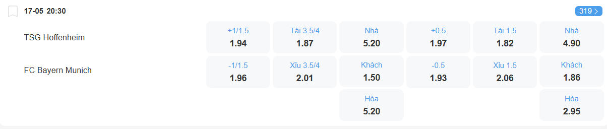 nhan-dinh-soi-keo-hoffenheim-vs-bayern-luc-20h30-ngay-17-5-2025-2